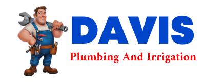 Trusted plumber in RIO HONDO